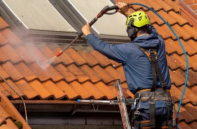 Démoussage et hydrofuge de toiture à Bief